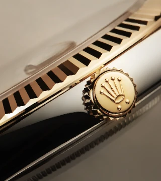 keep exploring rolex collection portrait