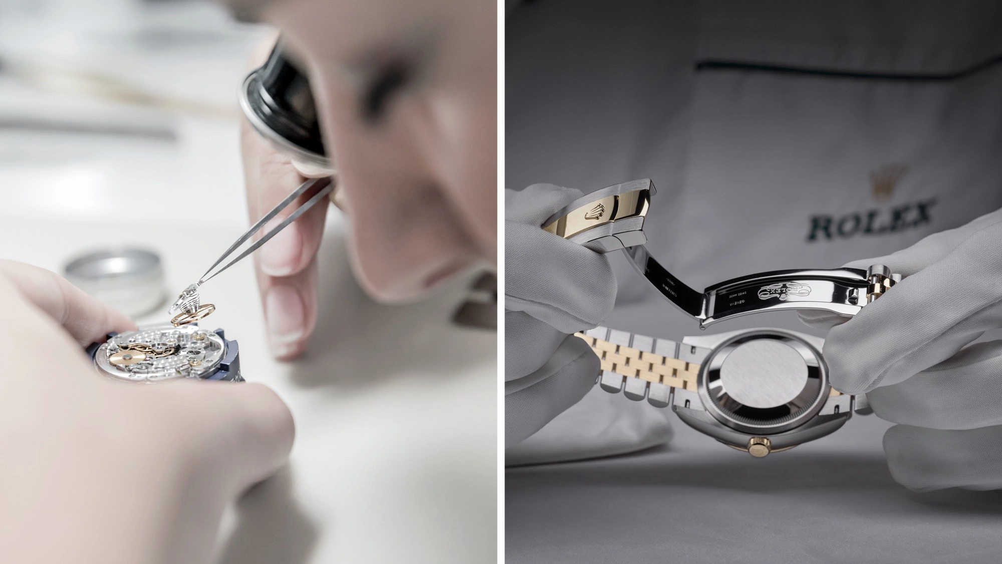 Viaggio nel cuore dell’universo Rolex - Nicora