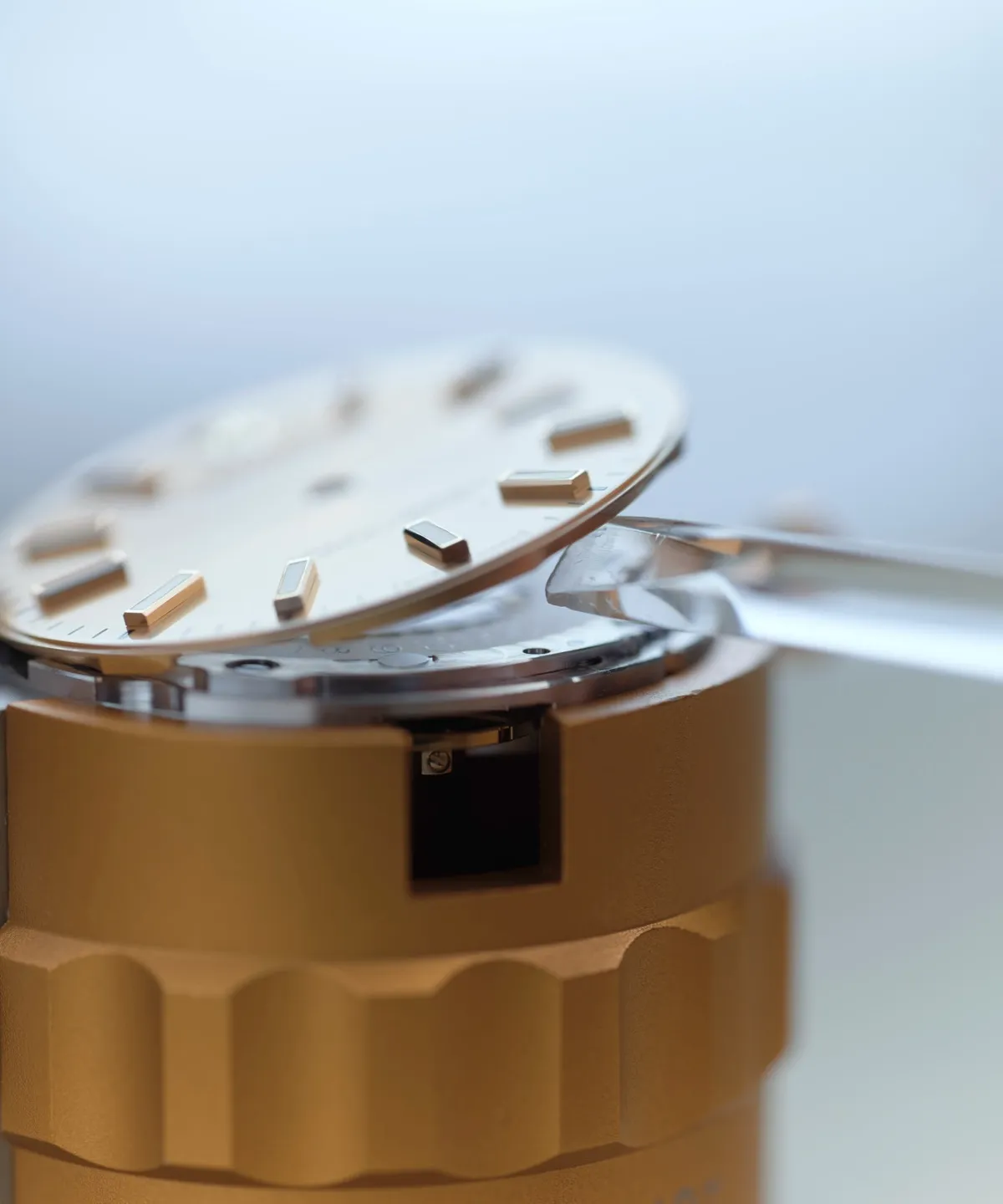 la procedura della revisione completa rolex - Nicora