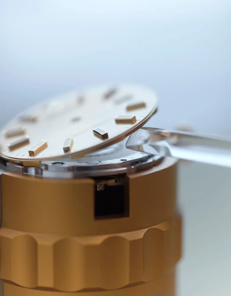 la procedura della revisione completa rolex - Nicora