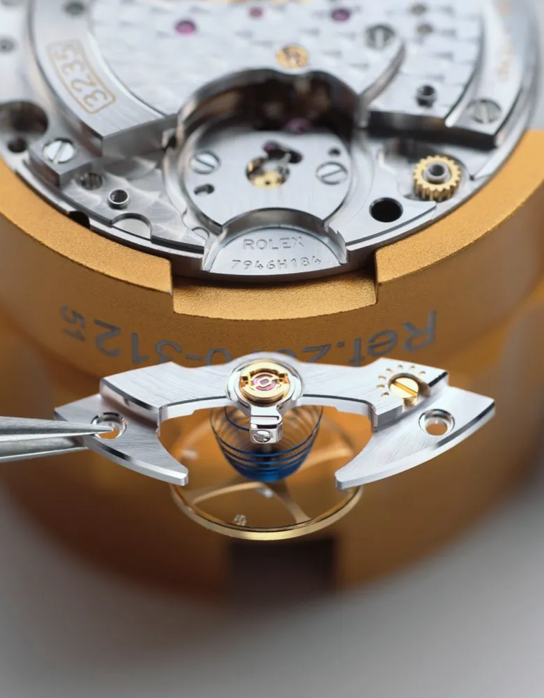 la procedura della revisione completa rolex - Nicora