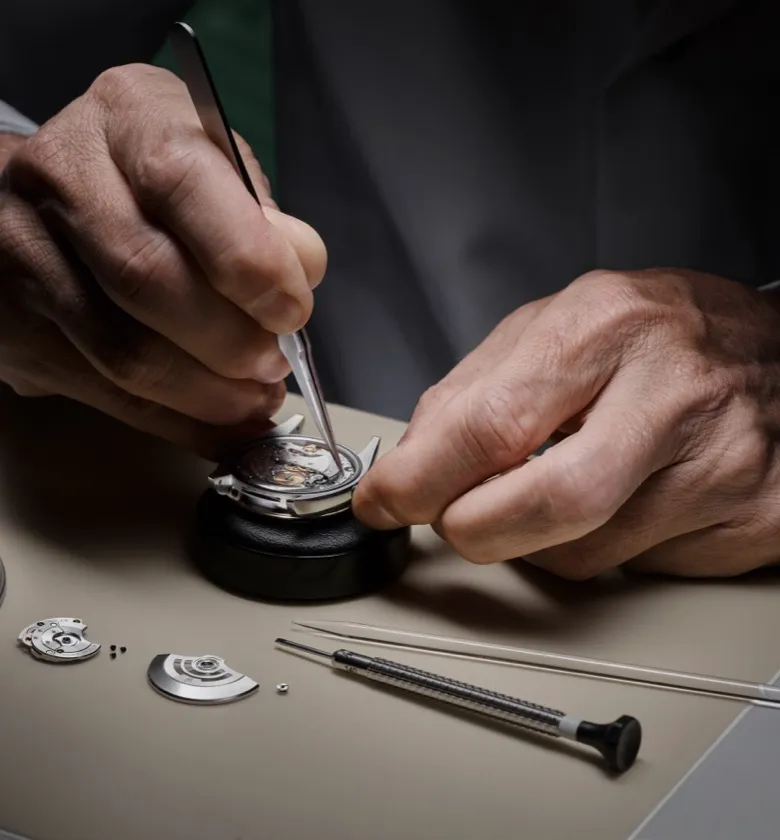la procedura della revisione completa rolex - Nicora